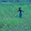 레몬 뮤직 페스티벌 in 달서 이미지