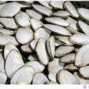 진미펜션 이미지