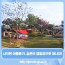 승촌보캠핑장 네이버블로그