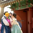 엘비스 | 돌끝맘 기록 #3 메이필드호텔 낙원 초례청 돌잔치 스냅 “엘비스포토” 후기
