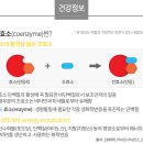 파인식품 이미지