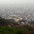 용곡초등학교 이미지