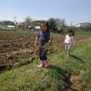 임영택농장 이미지