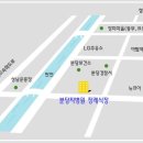 야탑동 351 (분당차병원) 이미지