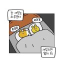 토이박스 이미지