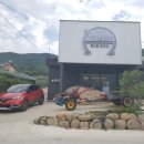 씨젤리피쉬 이미지