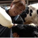 해남목장 이미지