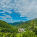 함백산 할매민박 이미지