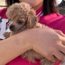 학운동주민센터 | 안녕은 우릴 아프게 하지만 우아할거야