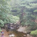 용현자연휴양림 이미지