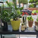 수암밀면 이미지