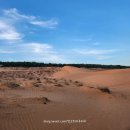 담지샘농장 | 나트랑 무이네 지프투어 예약 가격 팁 포토존 후기