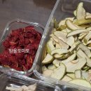 풍년식품 | 풍년 풀스텐 10단 가정용 식품건조 내돈내산 후기