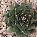 뉴플랜트 주식회사 이미지