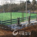 족구장2면 이미지
