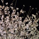 또자펜션 이미지