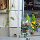 현동상회 이미지