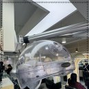 낙성대역 2번출구 이미지