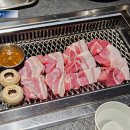 돌산가든 | 산청숯불가든 대신 간 을지로 흑돼지구이 고기집 미돈미우 내돈내산 후기