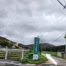 포항 서숲 오토캠핑장 네이버블로그
