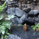 란사로테 이미지