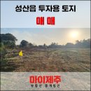 마이제주부동산중개법인 이미지