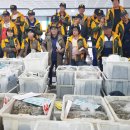 굴수하식수산업협동조합 이미지