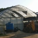 지훈농장 이미지