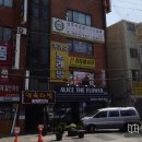 앨리스더플라워