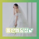 샵인 | 울산웨딩샵 로브블랑쉬 다녀왔어요! 드투 후기🎀