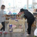 멍뭉이애견샵 네이버블로그