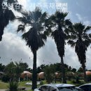 신풍농장 | 제주도펜션 안녕감귤 제주독채펜션 가격 위치 안내