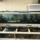 명승횟집 이미지