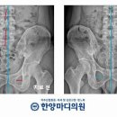 한양마디의원 이미지