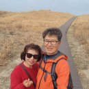 성당한우농장 이미지