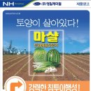 영일광고 - 군산시 문화2길 50 | 영일광고