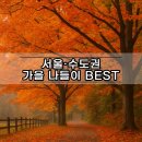 진주시어린이교통공원 청소년모험공원 | 가을 나들이 아이와 갈만한 곳 20｜서울·수도권 단풍 명소·축제 총정리