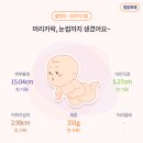 이블링