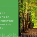 고성 잔디 캠핑장 이미지