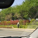 공임나라사상점 이미지