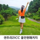 (주)센추리건설관리 | 원주 센추리21CC 라운드 후기 필드, 마운틴코스와 올인원 패키지