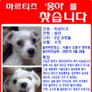 도봉-도봉-2007 이미지