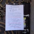 사파동239 이미지