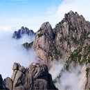 억겁(億劫)의 인연(因緣) 이미지
