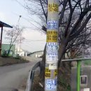 필콜라인코시네랑아줌마 | 지게차 연봉과 취업 현실
