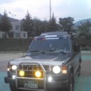 대한부란자 이미지