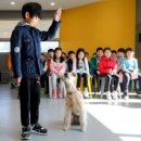 답21동물병원 이미지
