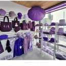 퍼플여행 이미지