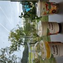 S0125 | 신안 퍼플섬 근처 가볼만한곳 통창 카페 S0125