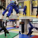 본국무예원 합기도, 검도, 국궁활쏘기 옥정본관 이미지